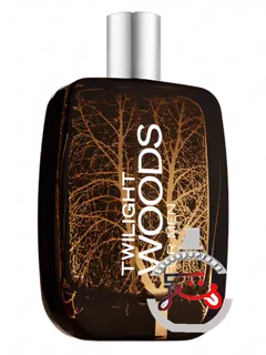 تویلایت وودز فور من بات اند بادی ورکس | twilight woods for men bath & body works